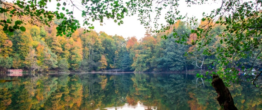 SONBAHARDA YEDİGÖLLER DOĞA YÜRÜYÜŞÜ 