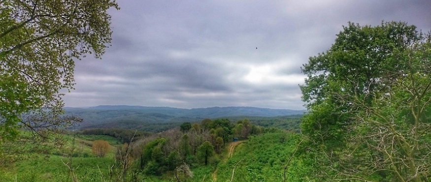 TEKSEN ORMANLARI VE GÖLETİ-ORTAKÖY SPORTİF DOĞA YÜRÜYÜŞÜ