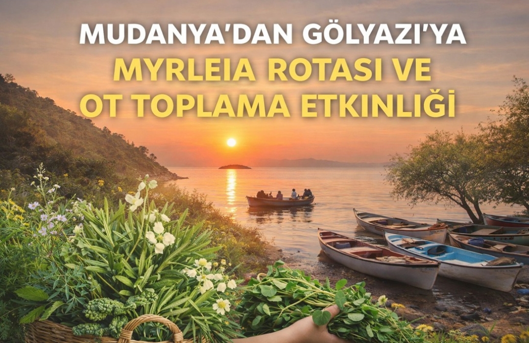 MUDANYA’DAN GÖLYAZI’YA MYRLEİA ROTASI DOĞA YÜRÜYÜŞÜ VE OT TOPLAMA ETKİNLİĞİ  - Doğa Sporları Etkinliği