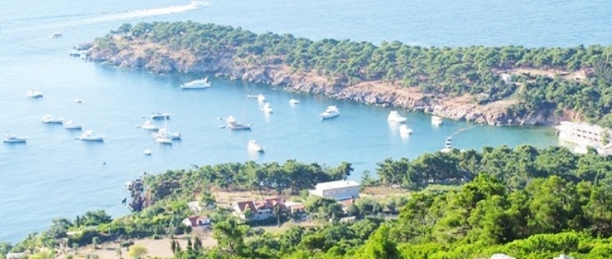 BÜYÜKADA DOĞA YÜRÜYÜŞÜ