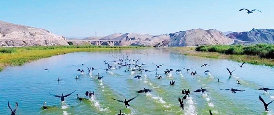DOĞANIN KALBİNE YOLCULUK: BEYPAZARI, NALLIHAN KUŞ CENNETİ DOĞA YÜRÜYÜŞÜ VE KAMP
