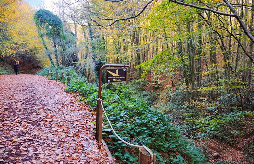 POLONEZKÖY (RİNG) DOĞA YÜRÜYÜŞÜ  - Doğa Sporları Etkinliği
