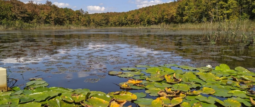 İĞNEADA LONGOZLARI, MERT GÖLÜ KANO TURU, DUPNİSA MAĞARASI KAMP VE DOĞA YÜRÜYÜŞÜ
