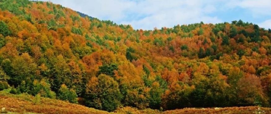 KIRAN KÖYÜ – KIRAN YAYLASI VE KIRAN ŞELALELERİ SPORTİF DOĞA YÜRÜYÜŞÜ 2