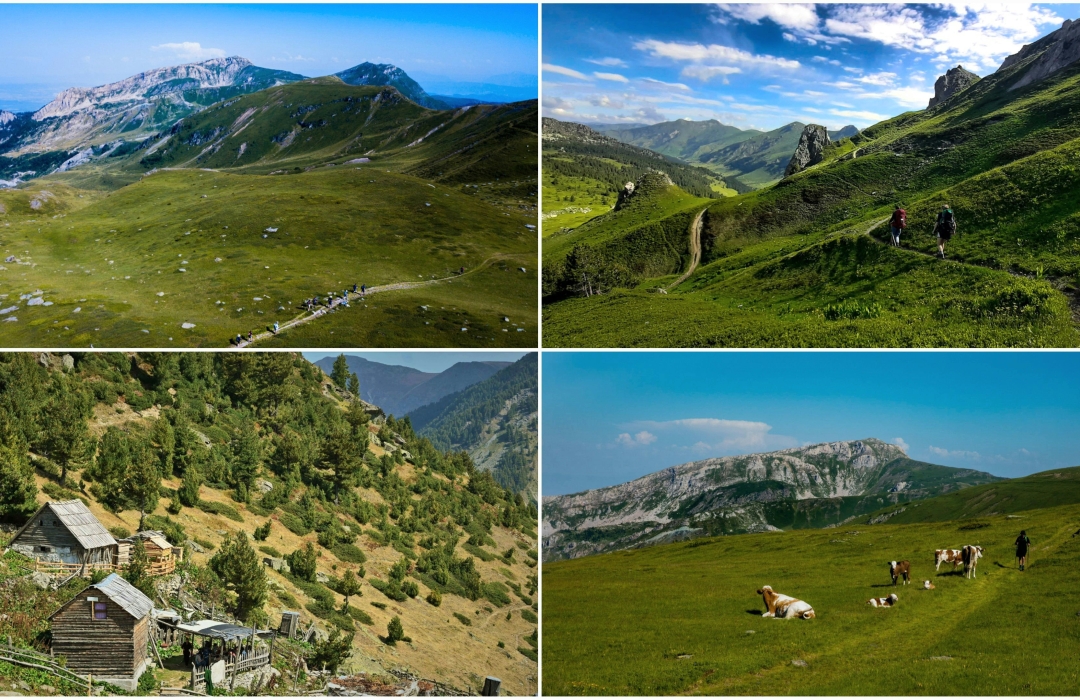PEAKS OF THE BALKANS BALKANLARIN ZİRVELERİ DOĞA YÜRÜYÜŞLERİ  - Doğa Sporları Etkinliği
