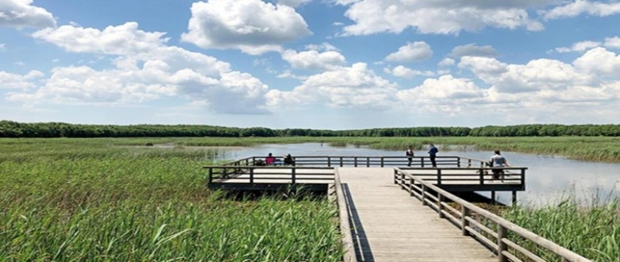 DANAMANDIRA TABİAT PARKI SAYALAR KÖYÜ DOĞA YÜRÜYÜŞÜ