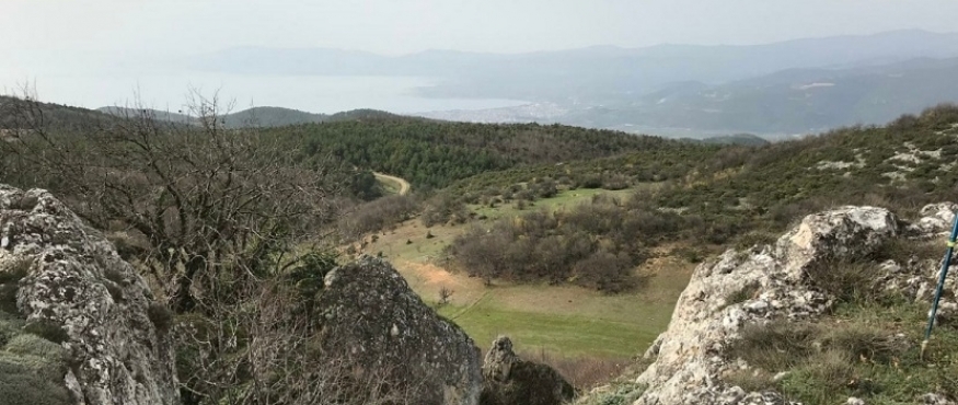 ÇAMOLUK-NÜZHETİYE DOĞA YÜRÜYÜŞÜ