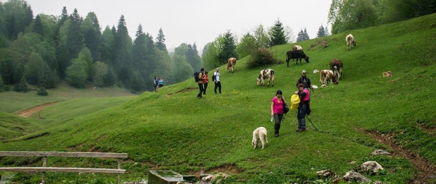 7 YAYLA- 5 GÖLET SPORTİF DOĞA YÜRÜYÜŞÜ
