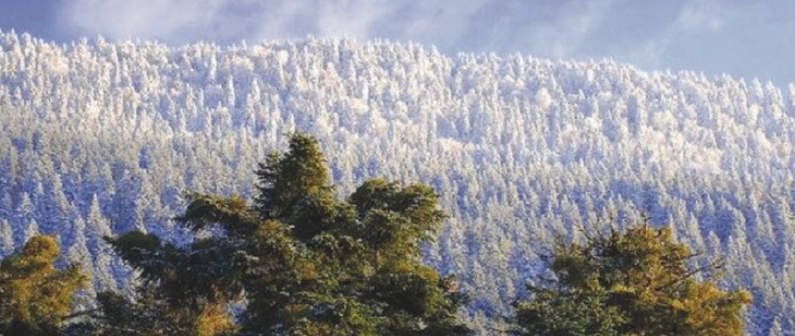 KIRAN KÖYÜ – KIRAN YAYLASI VE KIRAN ŞELALELERİ KARDA DOĞA YÜRÜYÜŞÜ