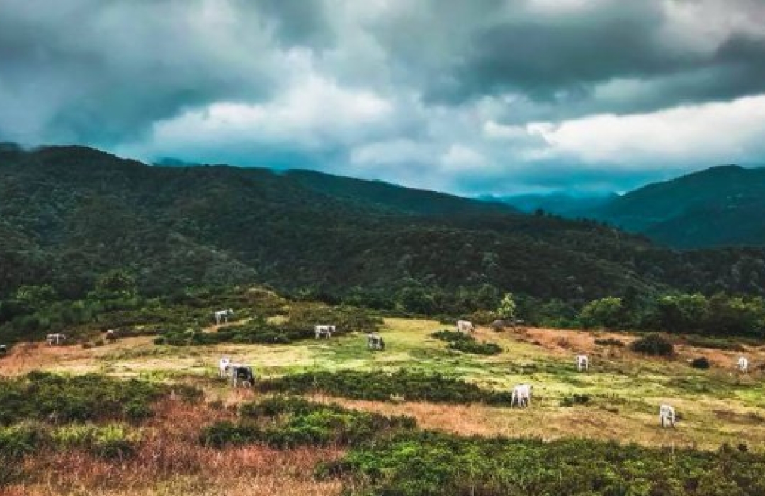 YALOVA ORTABURUN- TEŞVİKİYE KÖYLERİ DOĞA YÜRÜYÜŞÜ - Doğa Sporları Etkinliği