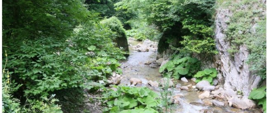 SERİNDERE SPORTİF DOĞA YÜRÜYÜŞÜ