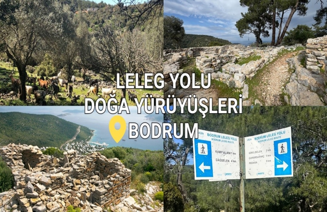 BODRUM LELEG YOLU DOĞA YÜRÜYÜŞLERİ - Doğa Sporları Etkinliği