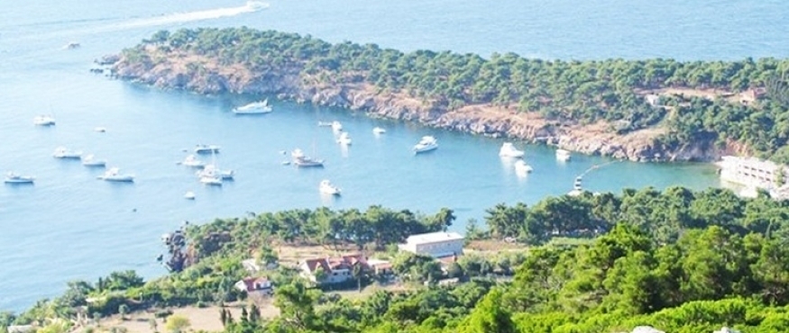 BÜYÜKADA DOĞA YÜRÜYÜŞÜ