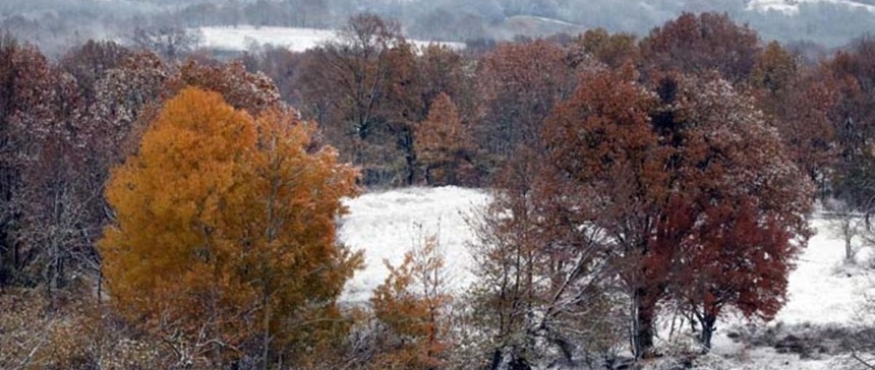 MAHYA TEPE- DUPNİSA MAĞARASI DOĞA YÜRÜYÜŞÜ