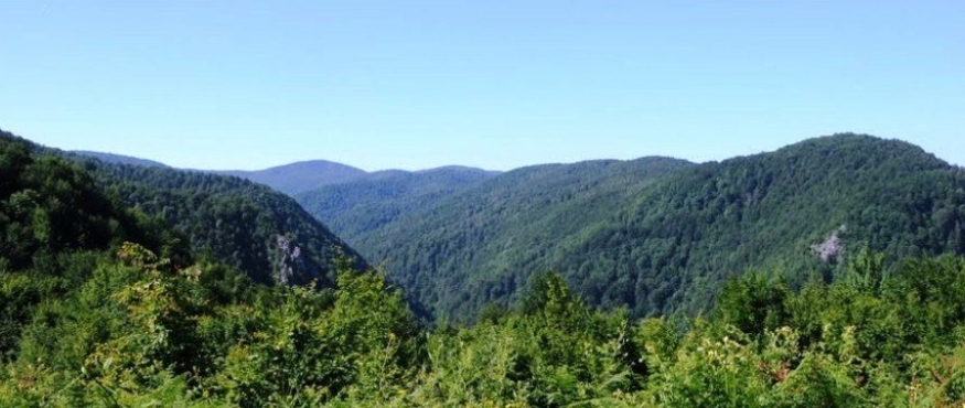 KAZANDERE-KUNGUL DAĞI SPORTİF DOĞA YÜRÜYÜŞÜ