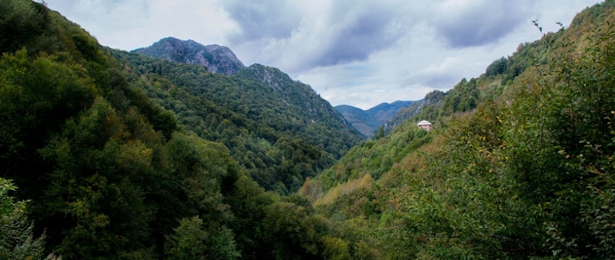 BAKACAK-PAPAZÇAYIRI DOĞA YÜRÜYÜŞÜ